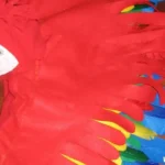 how to make a parrot costume